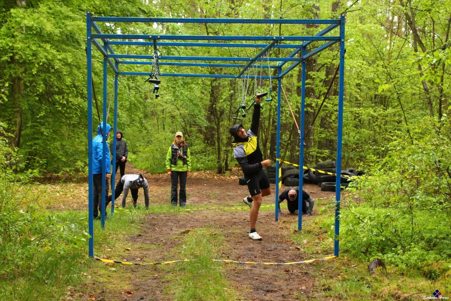 Monkey bars w lesie